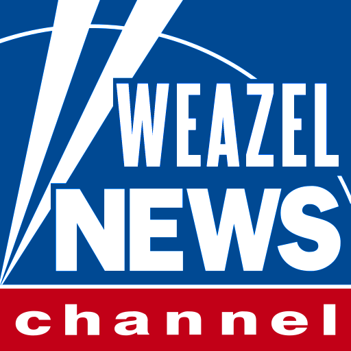 Weazel Medya