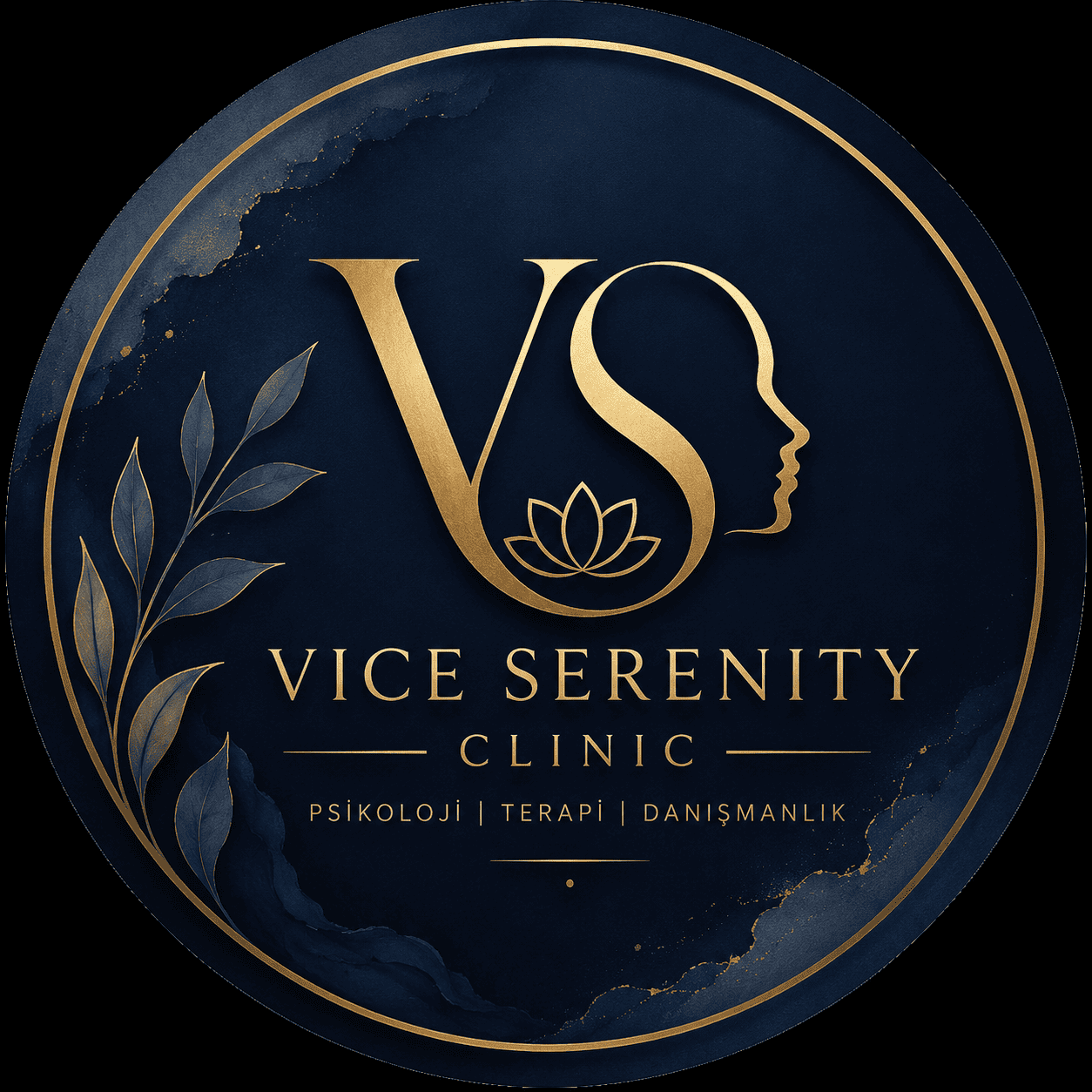 Vice Serenity Clinic